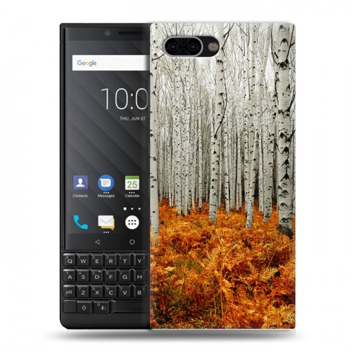 Дизайнерский пластиковый чехол для BlackBerry KEY2 Лес