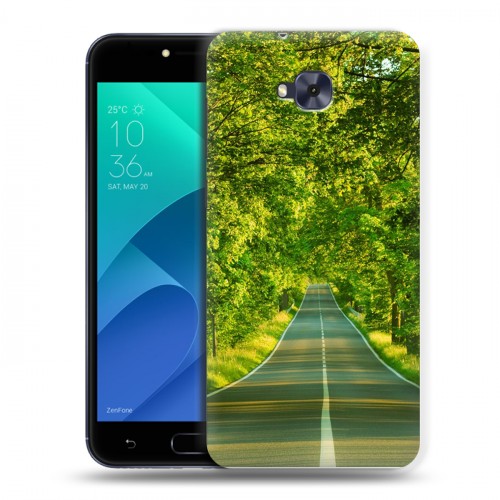 Дизайнерский пластиковый чехол для ASUS ZenFone 4 Selfie Лес