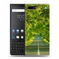 Дизайнерский пластиковый чехол для BlackBerry KEY2 Лес