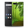 Дизайнерский пластиковый чехол для BlackBerry KEY2 Лес