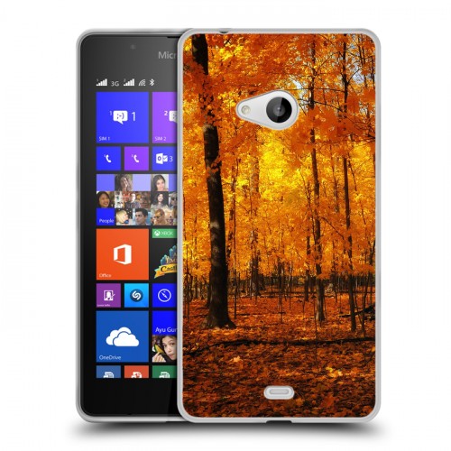 Дизайнерский пластиковый чехол для Microsoft Lumia 540 Лес