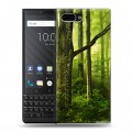 Дизайнерский пластиковый чехол для BlackBerry KEY2 Лес