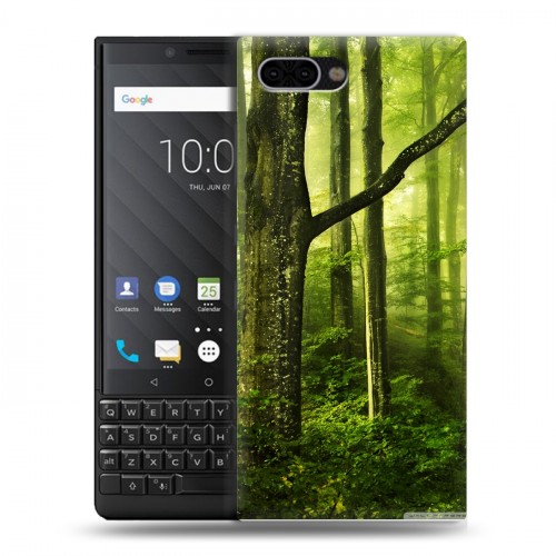 Дизайнерский пластиковый чехол для BlackBerry KEY2 Лес