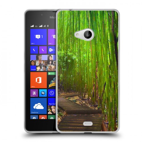 Дизайнерский пластиковый чехол для Microsoft Lumia 540 Лес