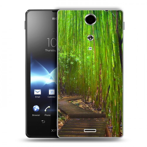 Дизайнерский пластиковый чехол для Sony Xperia TX Лес