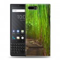 Дизайнерский пластиковый чехол для BlackBerry KEY2 Лес