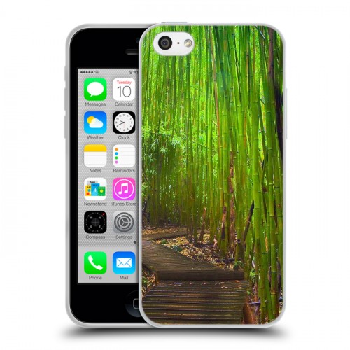 Дизайнерский пластиковый чехол для Iphone 5c Лес