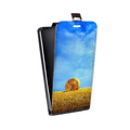 Дизайнерский вертикальный чехол-книжка для ASUS ZenFone 5 Lite Небо