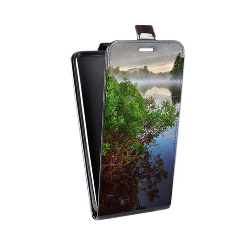 Дизайнерский вертикальный чехол-книжка для Huawei P30 Lite озеро