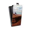 Дизайнерский вертикальный чехол-книжка для LG K10 каньоны