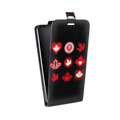 Дизайнерский вертикальный чехол-книжка для ASUS ZenFone 5 Lite Флаг Канады