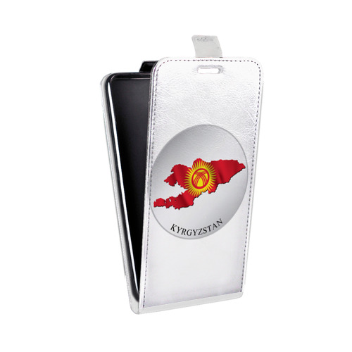 Дизайнерский вертикальный чехол-книжка для Iphone 12 Pro Max флаг Киргизии