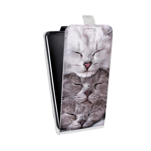 Дизайнерский вертикальный чехол-книжка для HTC 10 Коты