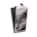 Дизайнерский вертикальный чехол-книжка для HTC Desire Eye Коты