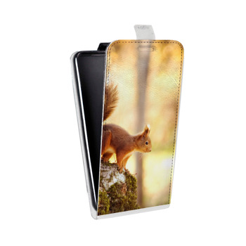 Дизайнерский вертикальный чехол-книжка для Nokia Lumia 620 Грызуны (на заказ)
