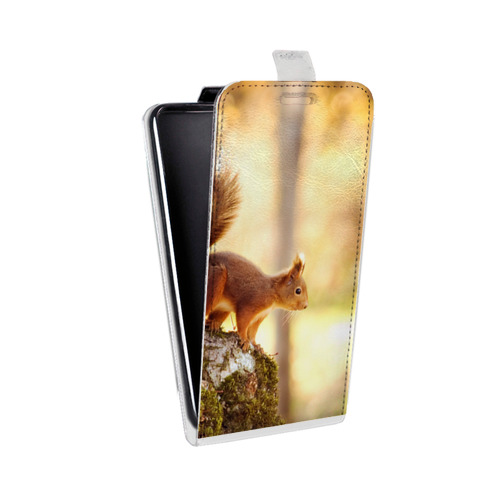 Дизайнерский вертикальный чехол-книжка для OnePlus 7 Грызуны