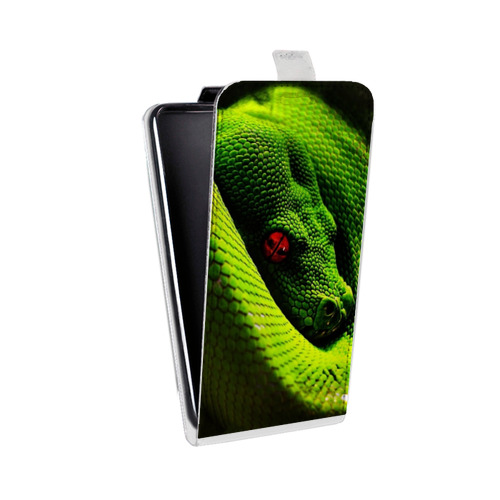 Дизайнерский вертикальный чехол-книжка для Iphone 11 Pro Змеи