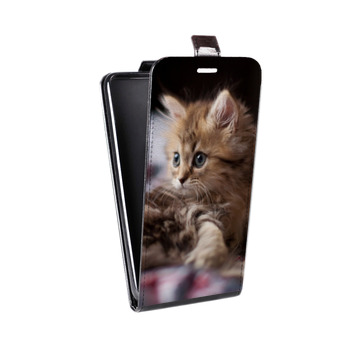 Дизайнерский вертикальный чехол-книжка для Samsung Galaxy S9 Plus Котята (на заказ)