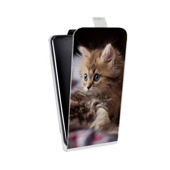 Дизайнерский вертикальный чехол-книжка для Iphone 5s Котята (на заказ)