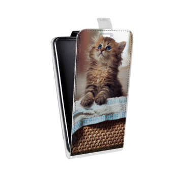Дизайнерский вертикальный чехол-книжка для Realme 5 Pro Котята (на заказ)