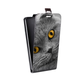 Дизайнерский вертикальный чехол-книжка для Iphone 7 Кошки (на заказ)