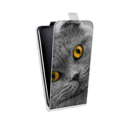 Дизайнерский вертикальный чехол-книжка для OnePlus 7 Кошки