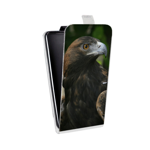 Дизайнерский вертикальный чехол-книжка для Samsung Galaxy Core Орлы