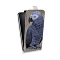 Дизайнерский вертикальный чехол-книжка для Samsung Galaxy Grand Попугаи