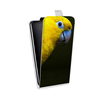 Дизайнерский вертикальный чехол-книжка для Huawei Honor 8 Попугаи (на заказ)