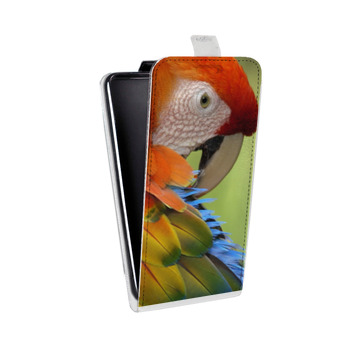 Дизайнерский вертикальный чехол-книжка для Iphone 6/6s Попугаи (на заказ)