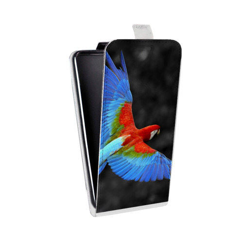 Дизайнерский вертикальный чехол-книжка для Google Nexus 6 Попугаи