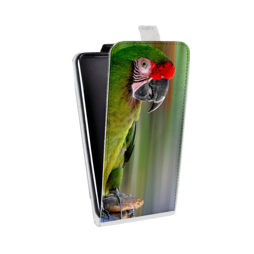 Дизайнерский вертикальный чехол-книжка для Nokia 7.1 Попугаи