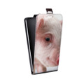 Дизайнерский вертикальный чехол-книжка для Huawei G8 Свинки