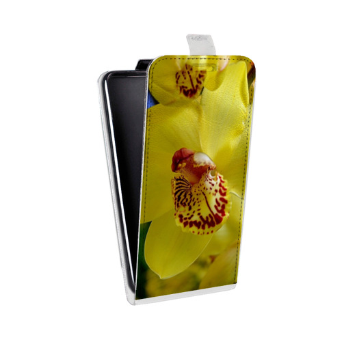 Дизайнерский вертикальный чехол-книжка для Samsung Galaxy Grand Орхидеи