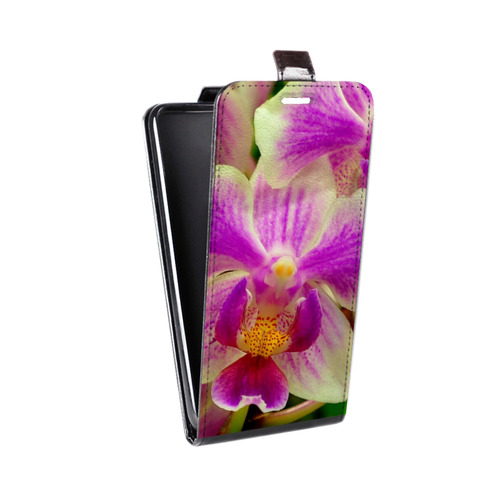 Дизайнерский вертикальный чехол-книжка для Microsoft Lumia 435 Орхидеи