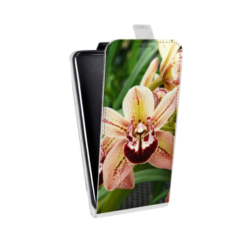 Дизайнерский вертикальный чехол-книжка для HTC Desire 12 Орхидеи