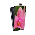 Дизайнерский вертикальный чехол-книжка для Nokia 3.4 Орхидеи