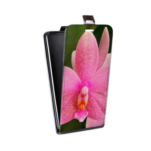 Дизайнерский вертикальный чехол-книжка для Nokia 8 Орхидеи