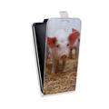 Дизайнерский вертикальный чехол-книжка для Huawei Honor 6C Свинки