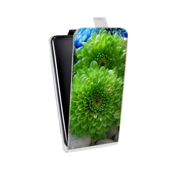 Дизайнерский вертикальный чехол-книжка для Iphone 7 Plus / 8 Plus Хризантемы (на заказ)