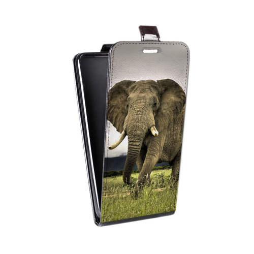 Дизайнерский вертикальный чехол-книжка для Alcatel Pixi 4 (5) Слоны