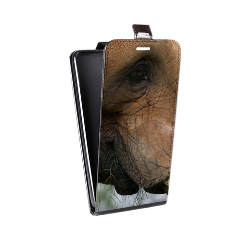 Дизайнерский вертикальный чехол-книжка для LG K10 (2017) Слоны