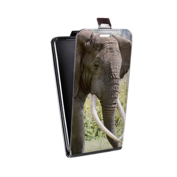 Дизайнерский вертикальный чехол-книжка для Huawei Honor 7A Pro Слоны (на заказ)