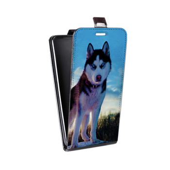 Дизайнерский вертикальный чехол-книжка для OnePlus 6T Собаки (на заказ)