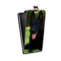 Дизайнерский вертикальный чехол-книжка для Google Pixel 4 Собаки