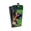 Дизайнерский вертикальный чехол-книжка для HTC Desire 12 Plus Собаки
