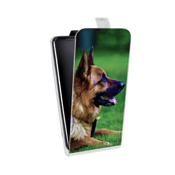 Дизайнерский вертикальный чехол-книжка для Samsung Galaxy Note 2 Собаки (на заказ)