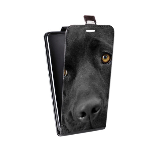 Дизайнерский вертикальный чехол-книжка для Asus ZenFone 4 Max Собаки