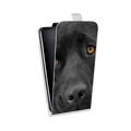 Дизайнерский вертикальный чехол-книжка для Nokia 7.1 Собаки