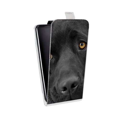 Дизайнерский вертикальный чехол-книжка для LG G7 Fit Собаки